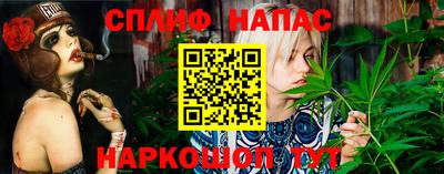 гидропоника Жуковский