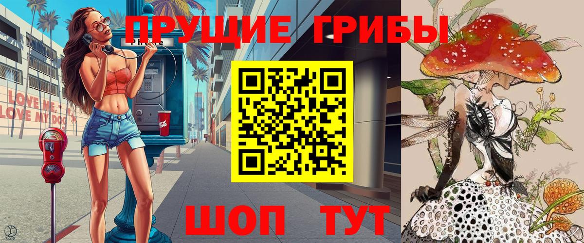 Псилоцибиновые грибы Cubensis Кропоткин